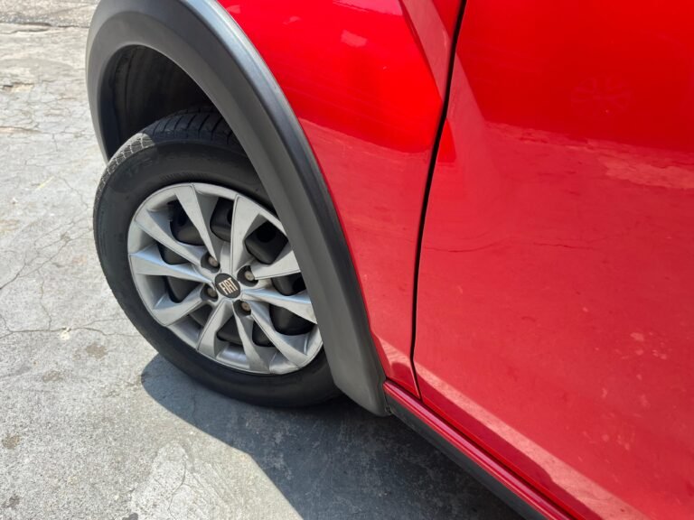 WhatsApp Image 2025-09-19 at 12.47.59