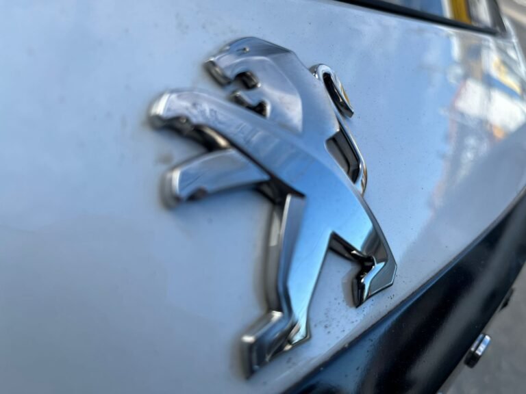 WhatsApp Image 2025-11-10 at 15.58.28