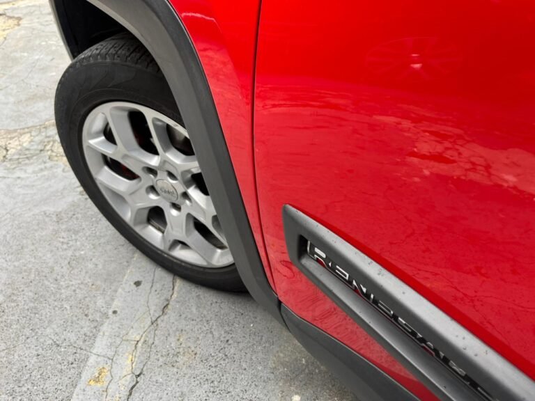 WhatsApp Image 2026-02-09 at 10.50.54